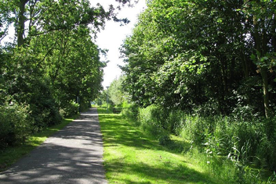 park